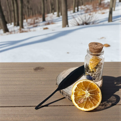 ❄️ KIT RITUAL LUNA LLENA DICIEMBRE · Cold Moon - Mente clara