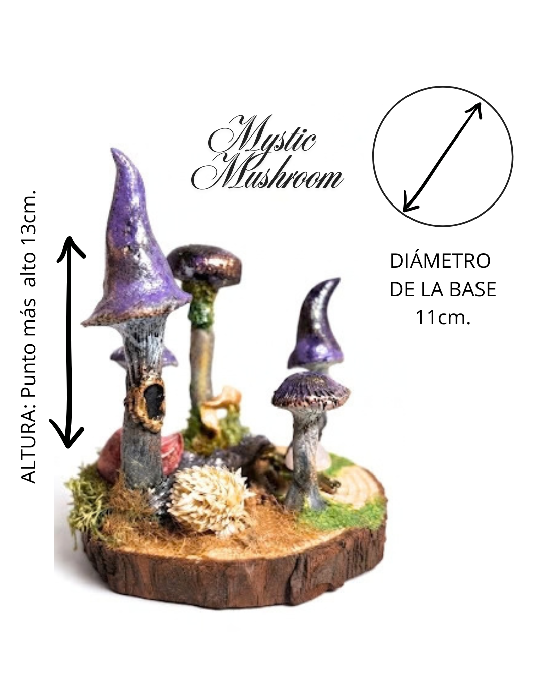 🍄🟣 MYSTIC MUSHROOM · CORRO DE BRUJAS