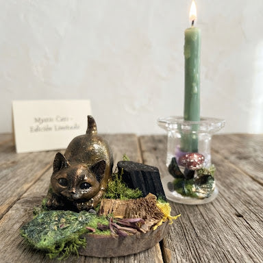 🐈‍⬛🖤 MYSTIC CAT · PROTECCIÓN