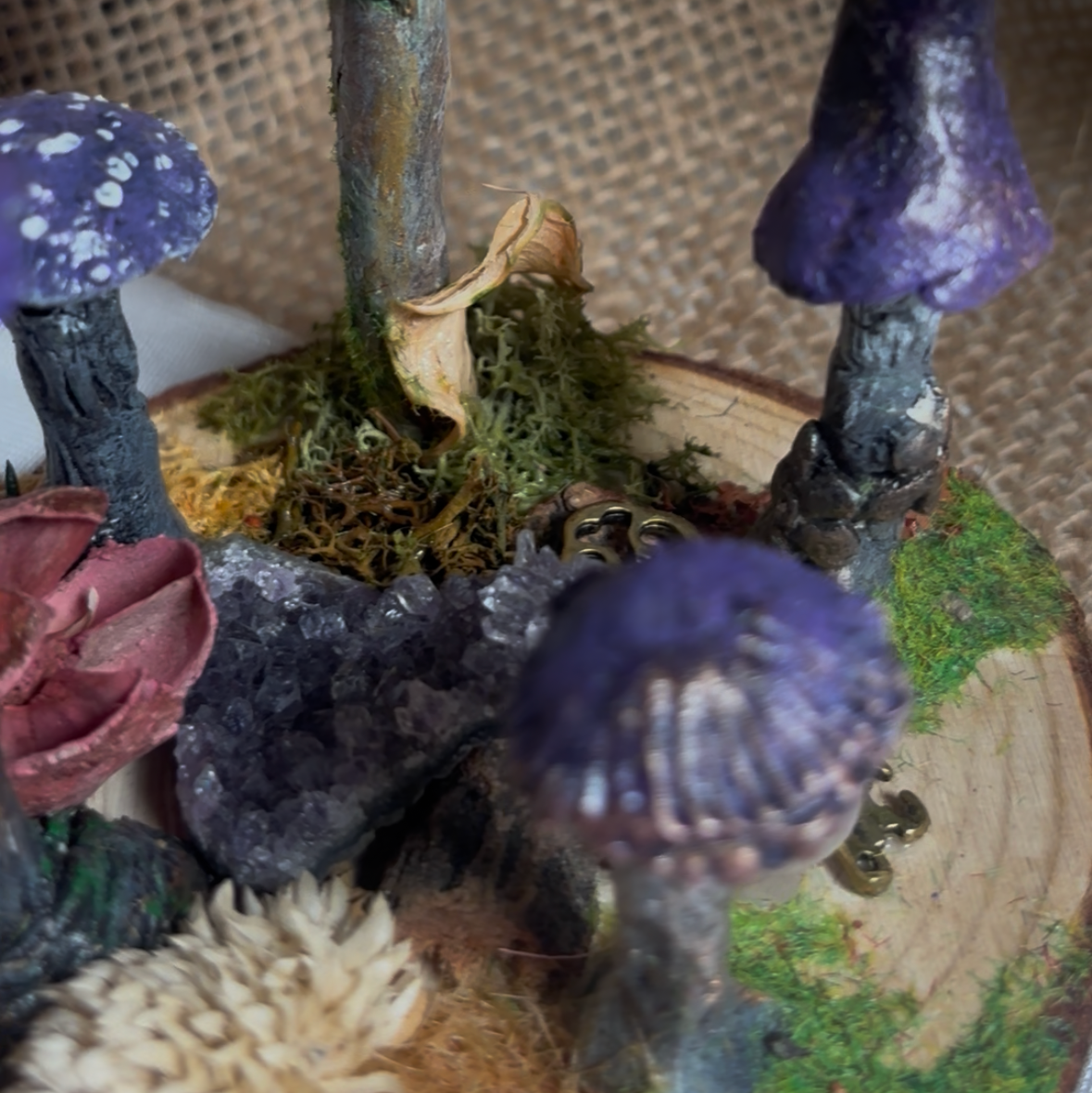 🍄🟣 MYSTIC MUSHROOM · CORRO DE BRUJAS