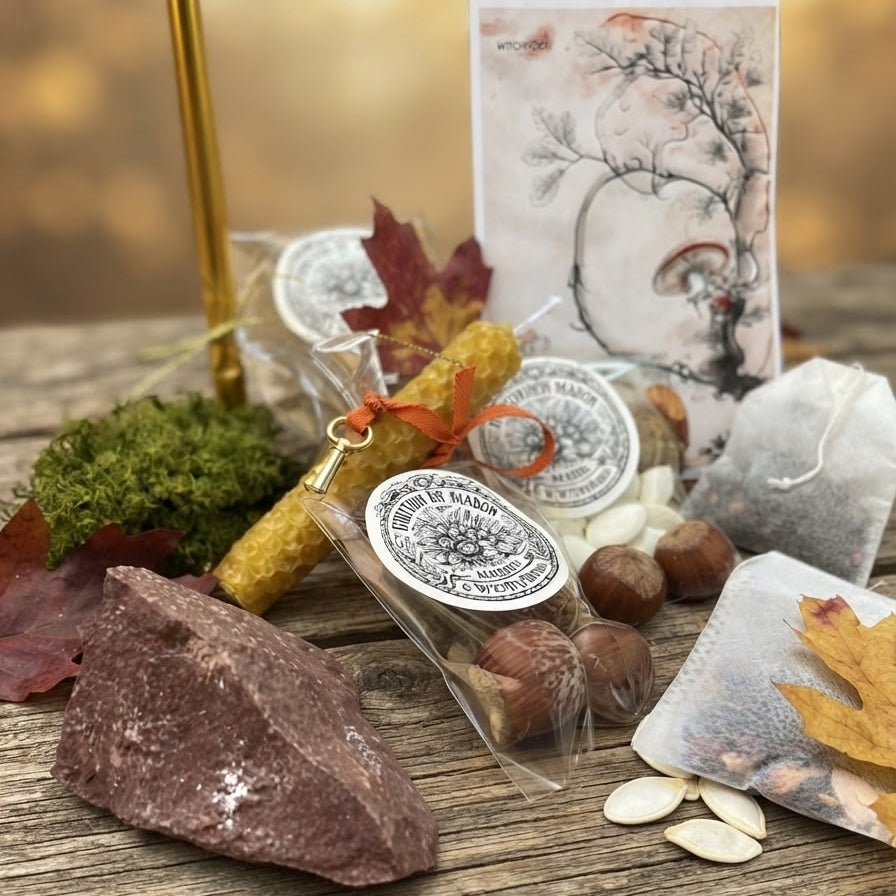 🍂 RITUAL EQUINOCCIO DE OTOÑO (MABON) 2026