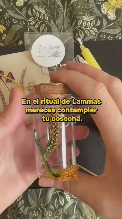 RITUAL DE AGOSTO: LA COSECHA (LAMMAS) 2026