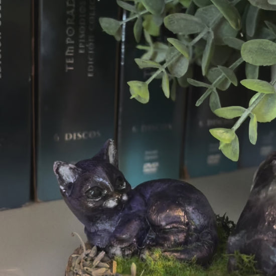 MYSTICCAT BIENESTAR 06