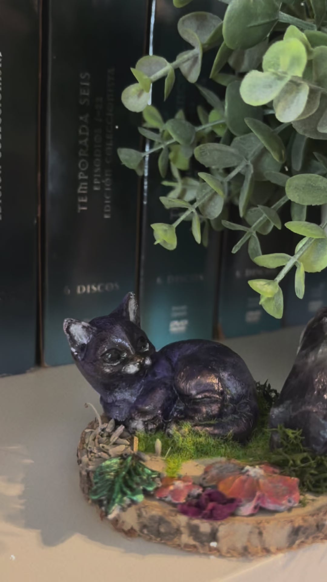 MYSTICCAT BIENESTAR 06