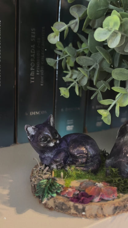 MYSTICCAT BIENESTAR 06