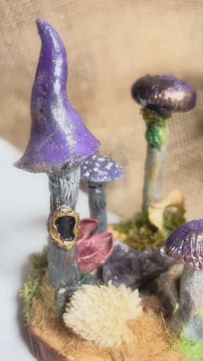 🍄🟣 MYSTIC MUSHROOM · CORRO DE BRUJAS